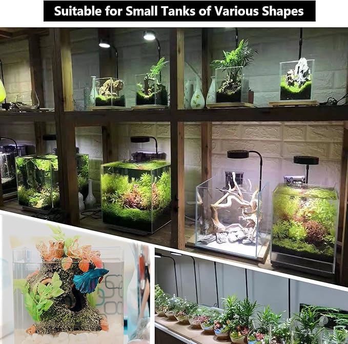 Aquarium Light Full Spectrum LED, for Under 7 Gallon Fish Tank, Light with Timer Auto On/Off, Betta Fish Tank,Indoor Plant Growth, Potted Plants, Succulent, Miniature Gardening Landscape (9)-PawvioPets
