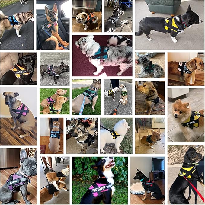 Bolux Dog Harness, No-Pull Reflective Dog Vest, Breathable Adjustable Pet Harness with Handle for Outdoor Walking - No More Pulling, Tugging or Choking (Purple, L)-PawvioPets