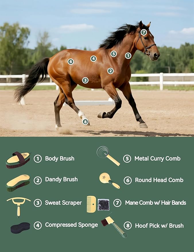 9PCS Horse Grooming Kit Curry Comb Sweat Scraper Horse Bathing Supplies Grooming Tools with Storage Bag Pasture Glow-PawvioPets
