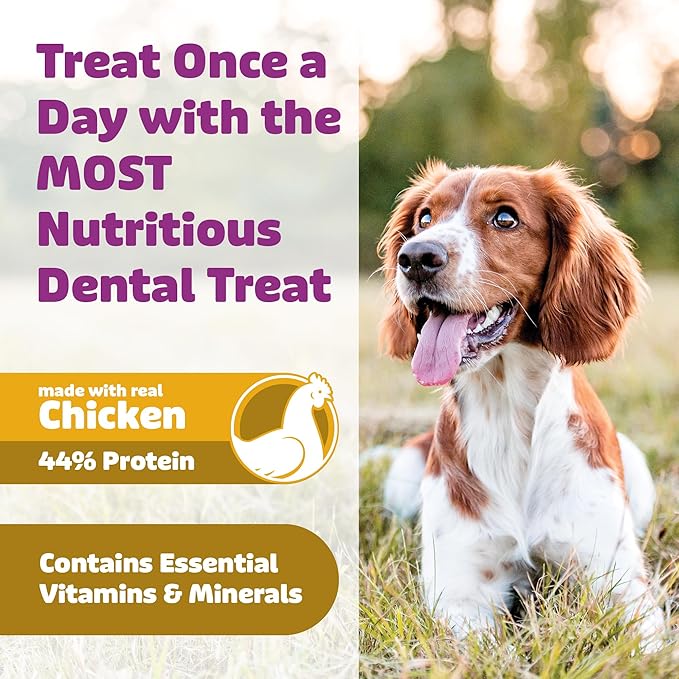 Dog Dental Treats – Vet VOHC Approved, Removes Tartar & Cleans Teeth – Yummy High Protein Chicken Treat for Medium Dogs (Mini Pack, 9 Count)-PawvioPets
