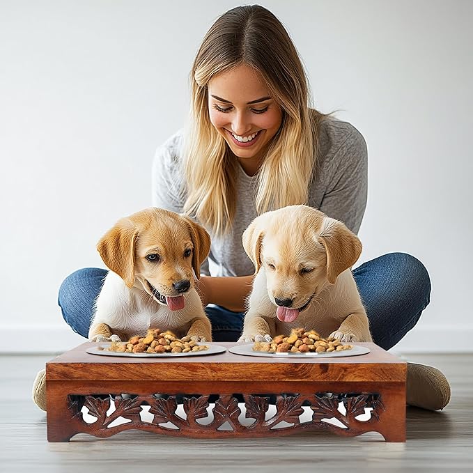 Elevated Pet Feeder for Dogs and Cats - Scroll Carved Wood Raised Dog Bowl Stand - Pet Feeding Stand with Two Steel Bowls - Raised Dog Bowl for Food and Water - Pet Feeding Station -17x11x4- IRONGATE-PawvioPets