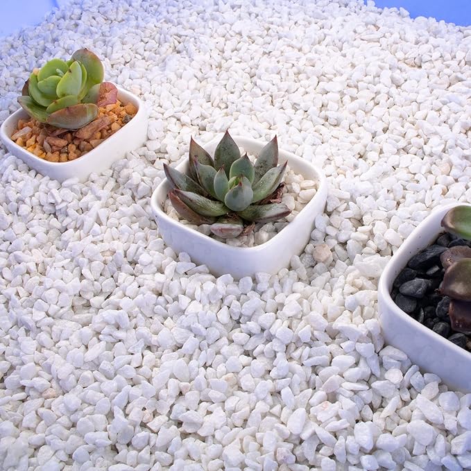 3lb White Cactus Pea Gravel Rocks,1/4 Inch Pebbles for Indoor Plants, Natural Succulent Rock and River Rocks Decorative for Aquariums, Vases, Outdoor Gardening, Top Dressing for Potted Plants-PawvioPets