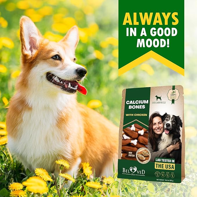 Beloved Pets Dog Treats, Calcium Bones Wrapped Chicken & Rawhide Free Chew 11Oz - Pet Healthy Dried Snacks & Grain Free Meat - Bulk Best Chews for Christmas, Training Small & Large Dogs - Made for USA-PawvioPets