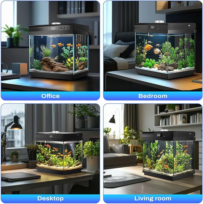 AQQA 3.7 Gallon Aquarium Starter Kit Small Glass Fish Tank with Filter and Light (10 Colors Adjustable) Desktop Self-Cleaning Betta Fish Tank Kit Office & Home Decor Idea (Black)-PawvioPets