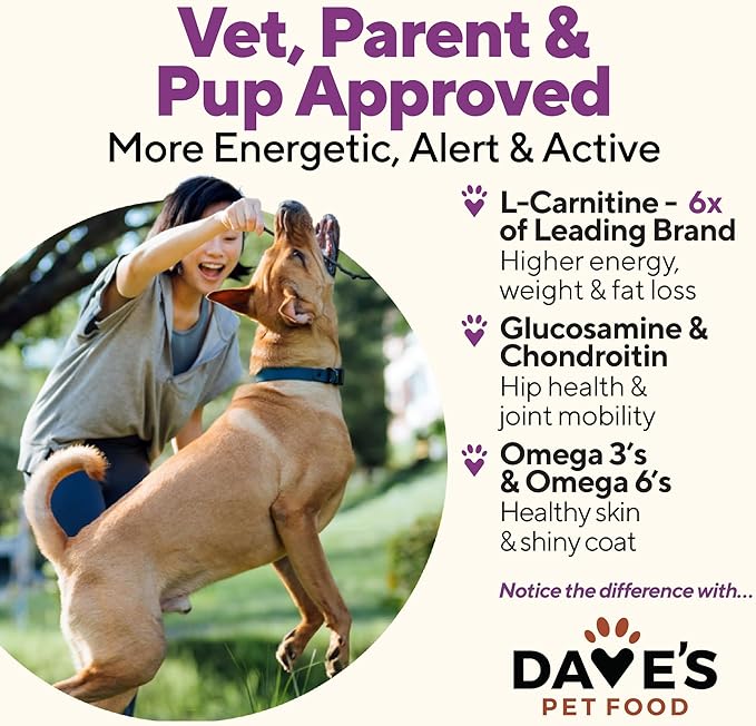 Dave's Pet Food Weight Management Dog Food (Turkey & Vegetables), Made in USA, Weight Loss, Soft, Canned Wet, 13.2oz (12 Pack)-PawvioPets