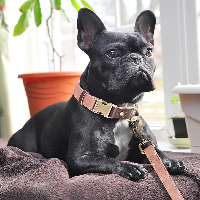 Didog Soft PU Leather Dog Collars for Medium Dogs,Classic Adjustable Dog Collars with Quick Release Metal Buckle,Easy Clean and Comfortable with Nylon Lining,Pink,M Neck 13-19"-PawvioPets