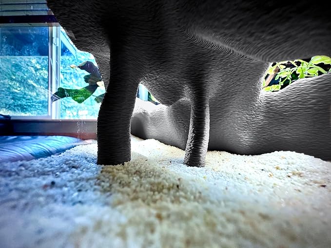 Aquarium & Terrarium Corner Cave – Faux Mangrove Root Hideout for Fish, Shrimp, Geckos, Snakes – Natural-Look Reptile Tank Decor in Textured Root Style (Charcoal, 7.5" x7.5''x4)-PawvioPets