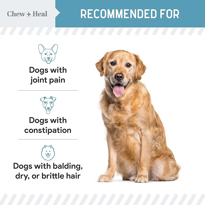 12-in-1 Multivitamin Powder for Dogs - 14 oz of Puppy and Senior Dog Vitamins and Supplements - Advanced Formula with Glucosamine, Omega 3,6,9, Vitamins, Probiotics, and More - Made in The USA-PawvioPets