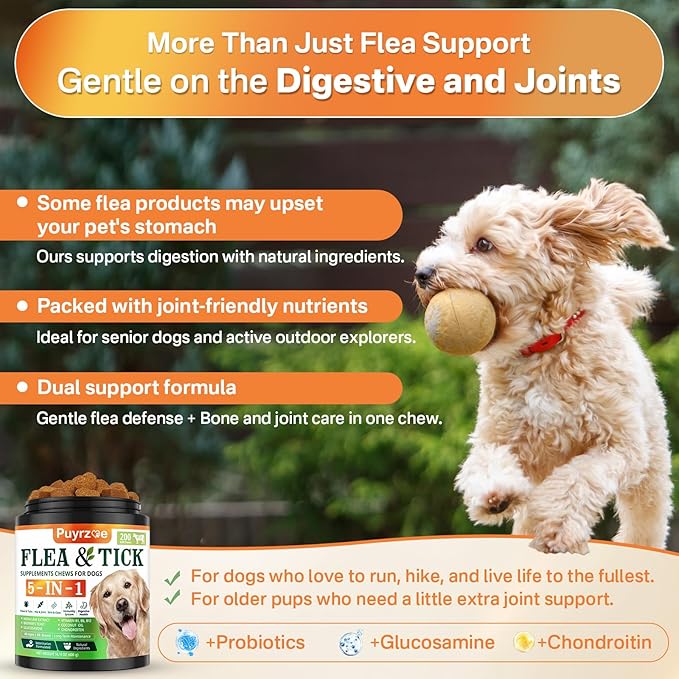 5-in-1 Dog Flea and Tick Treatment Chewable, Natural Flea and Tick Prevention for Dogs Chewable - Flea & Tick | Hip & Joint | Skin & Coat | Immunity Support | Digestive for All Breeds & Sizes-PawvioPets