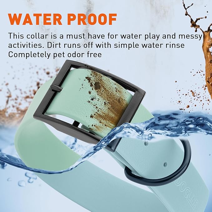 Dogline Biothane Waterproof Dog Collar Strong Coated Nylon Webbing with Black Hardware Odor- Proof for Easy Care Easy to Clean High Performance Fits Small Medium or Large Dogs, Sage Green-PawvioPets