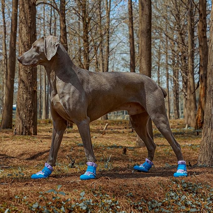 Dog Shoes, Waterproof Dog Boots & Paw Protectors with Anti-Slip Sole, 4pcs/Set Pet Dog Booties, Reflective Dog Shoes for Small Medium Large, Winter Snowy Summer Hot Pavement (Blue, 3# (XS))-PawvioPets