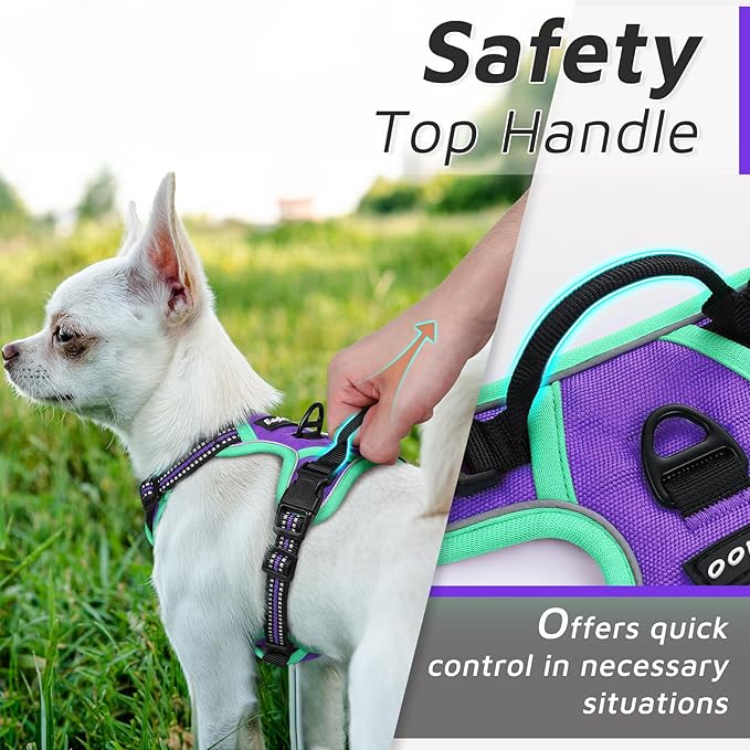Eagloo Small Dog Harness No Pull, Service Vest with Reflective Strips and Control Handle, Adjustable and Comfortable for Walking, No Choke Pet Harness with 2 Metal Rings, Purple & Green, XS-PawvioPets