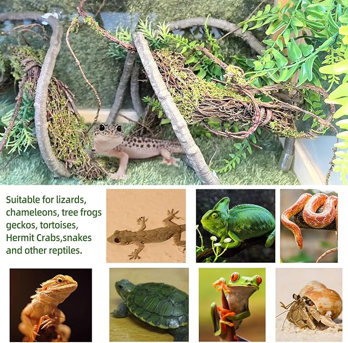 BNOSDM Reptile Vines,Bendable Jungle Climbing Vine,Terrarium Plants Artificial Decor,Tank Decorations Accessories for Bearded Dragons Chameleons Snakes Lizards Hermit Crabs-PawvioPets