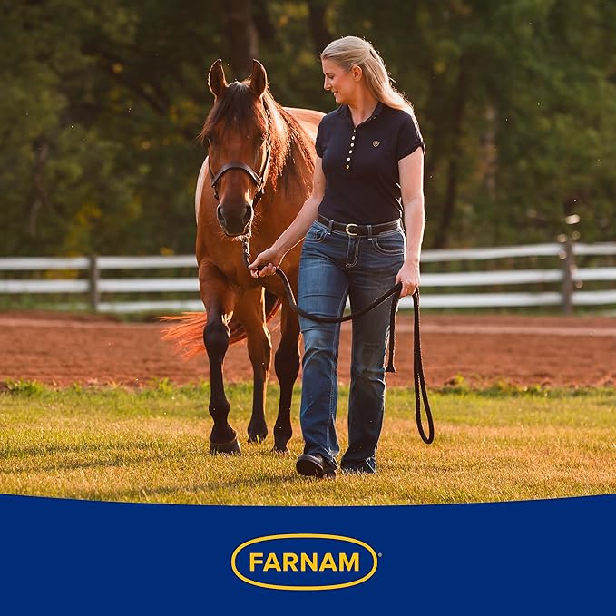 Farnam SuperMask II Fly Mask Without Ears for Larger Horses, Full Face Coverage and Eye Protection from Insect Pests, Structured Classic Styling Mesh with Plush Trim, XL Size-PawvioPets