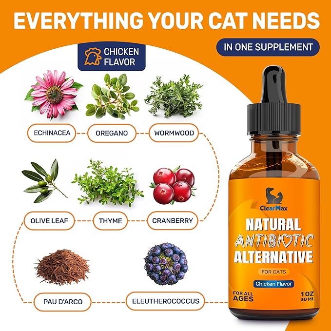 Cat Antibiotic to Help with Cough & Allergies – Antibiotics for Cats to Aid with UTIs and Digestive Moments – HIPS & Joints Support – Attractive Chicken Taste – 1 Oz Bottle-PawvioPets