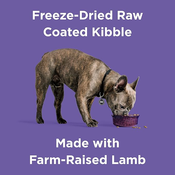 BIXBI Rawbble Dry Dog Food, Lamb, 24 lbs - USA Made with Fresh Meat - No Meat Meal & No Corn, Soy or Wheat - Freeze Dried Raw Coated Dog Food - Minimally Processed for Superior Digestibility-PawvioPets