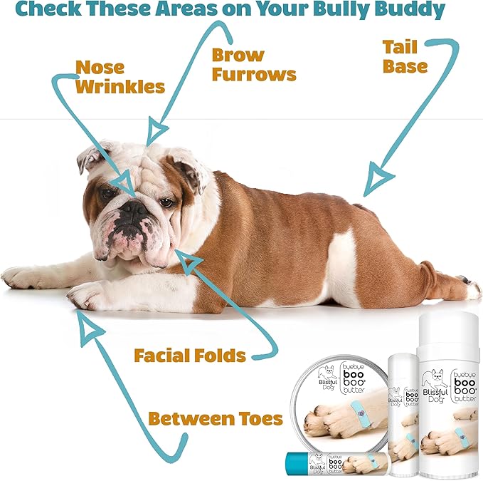 Coton De Tulear Boo Boo Butter, 8 oz-PawvioPets