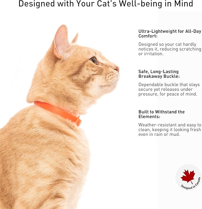 5 Pack Breakaway Cat Collar - Soft, Comfortable, and Lightweight Safety Buckle Collar with ID Tag Ring for Outdoor Cats and Kittens by Nuvuq (6 ⅞" to 10 ¼", Red, Orange, Pink, Blue and Black)-PawvioPets