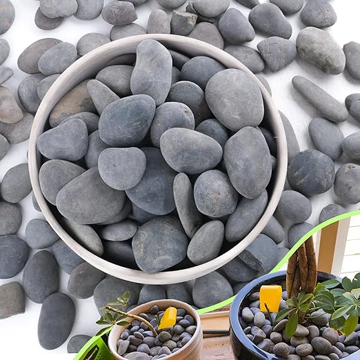 7LB River Rocks,Mexican Beach Pebbles for Plants,Potting,Garden Landscape Stone Paving Stone Grey 1Inch - 2Inch-PawvioPets