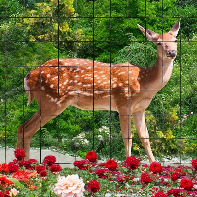 Black PVC Coated Welded Wire Fence 36 Inch x 50 Foot, 2 Inch x 3 Inch 16GA, Garden Border Fencing Roll Vinyl Coating Metal Wire Mesh for Yard Vegetable Plant Protection Poultry Netting-PawvioPets