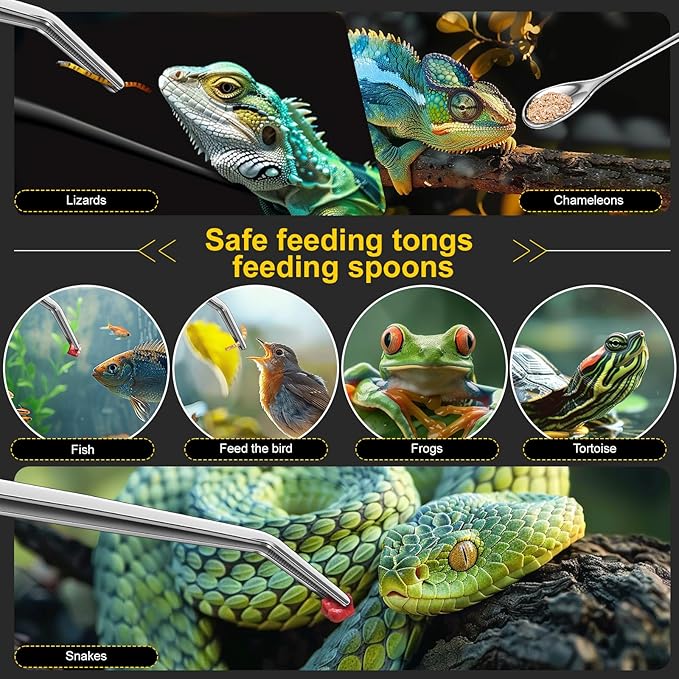 2pcs Reptile Feeding Tongs, Feeding Spoon, Stainless Steel Aquarium Feeding Tools, Curved Long Tweezers 10.6 in, Long Spoon 10 in (Coffee Spoon) for Feeding Lizards, Bearded Dragons and More.-PawvioPets