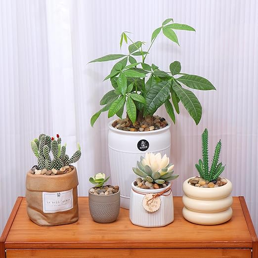 Calofulston 2.2lb Drainage Rocks for Potted Plants, 1/5 Inch Small Pebbles for Plants, Aquarium, Fish Tank, Terrarium, Succulent, Vases, Decorative Pea Gravel, Mixed Color-PawvioPets