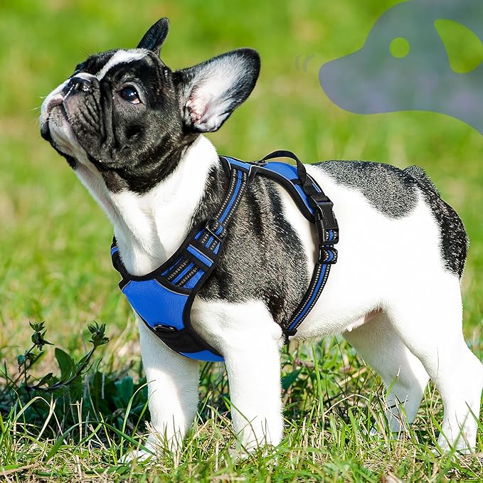 Eagloo Dog Harness Small Sized Dog, No Pull Service Vest with Reflective Strips and Control Handle, Adjustable and Comfortable for Walking, No Choke Pet Harness with 2 Metal Rings, Blue, S-PawvioPets