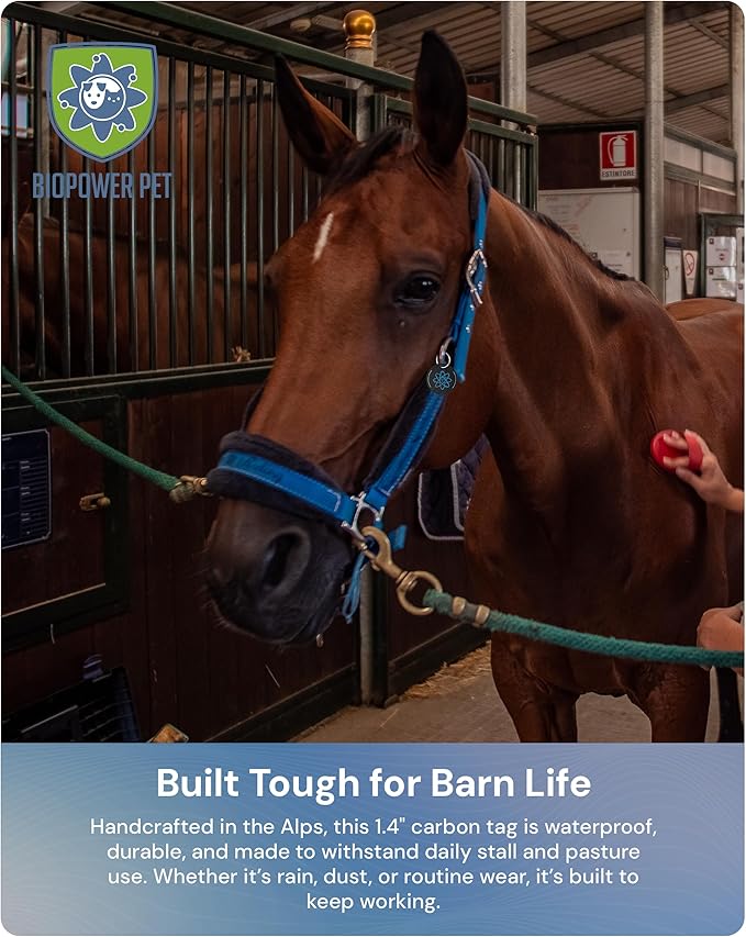 BioPower Natural Fly & Tick Repellent for Horses - Horse Shield Tag with 1-Year Bioresonance Protection – Chemical-Free, Waterproof Carbon Tag That Clips to Halter – Non-Toxic Pest Defense-PawvioPets