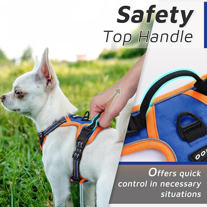 Eagloo Small Dog Harness No Pull, Service Vest with Reflective Strips and Control Handle, Adjustable and Comfortable for Walking, No Choke Pet Harness with 2 Metal Rings, Blue & Orange, XS-PawvioPets