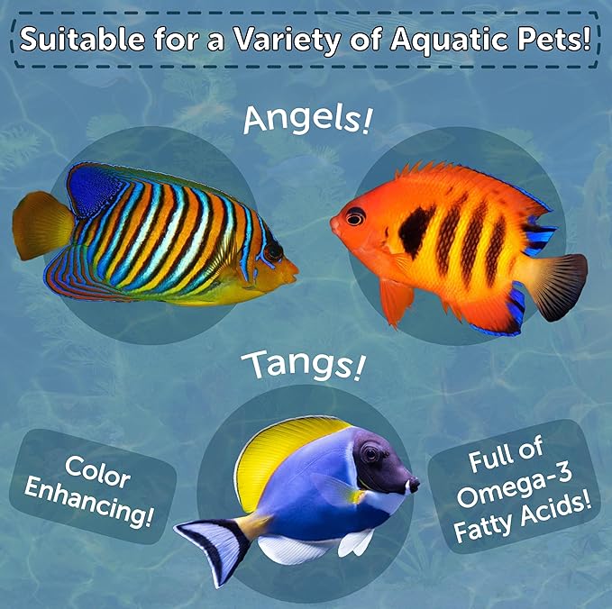 Aquatic Foods Inc. Marine Fish Flakes of Red & Green Algae, Seaweed for Tangs, Butterflies, Angelfish, Anthias, Clown Fish, Damsels Also Pellet Mix, Wafer Mix Included…AFI 2oz Jar-PawvioPets