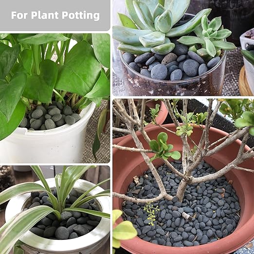 2.4lb River Rocks Pebbles for Plants & Succulents, Decorative Outdoor Landscaping & Aquarium Garden Rocks-PawvioPets