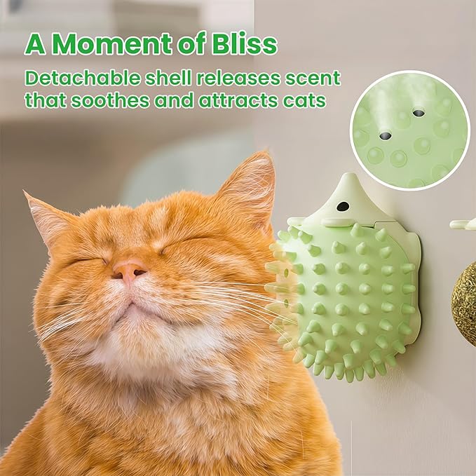 6 Pcs Catnip Ball Toys with Rubbing Shell, Lickable Roller Catnip Toys for Cats Chew, Edible and Refillable Kitten Toys, Teeth Cleaning Dental Indoor Cat Treats Toys, 3 Shells 6 Balls-PawvioPets
