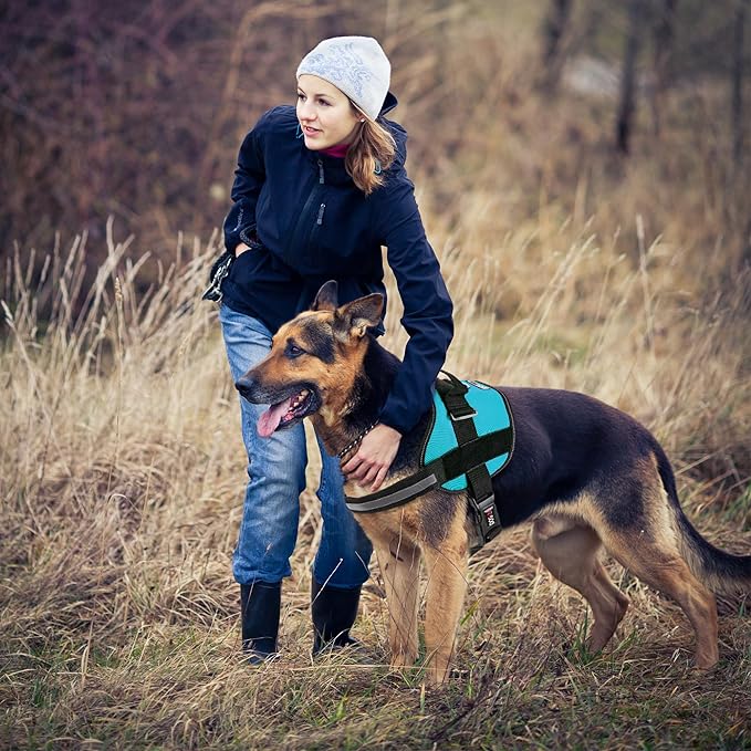 Dogline Dog Harness, Reflective No-Pull Adjustable Vest with Handle for Walking, Training, Breathable, No - Choke Harness for Small, Medium or Large Dogs Room for Patches Girth 15 to 18 in Turquoise-PawvioPets