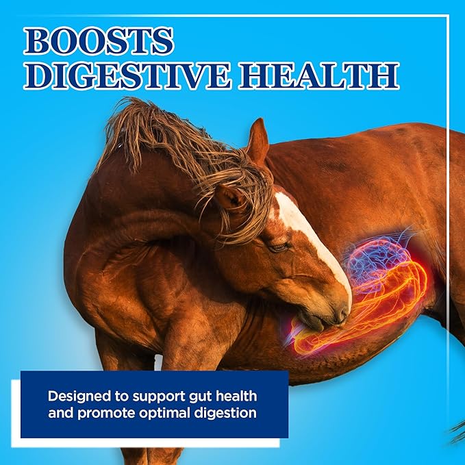 Equerry's Large Animal Probiotic | Supplements for Gut Health and Nutrient Absorption | Probiotics and Digestive enzymes for Horses, Cows, Goats, Sheep, Pigs, 160 Feedings (20lbs) for 1000 lb Animal-PawvioPets