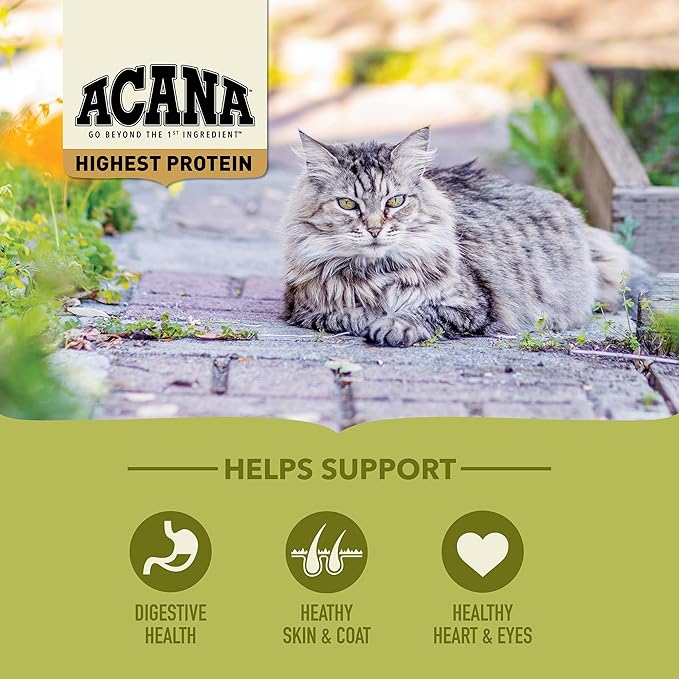 ACANA Highest Protein Grasslands Grain-Free Dry Cat Food, Duck, Free-Run Chicken and Eggs Cat Food Recipe, 4lb-PawvioPets
