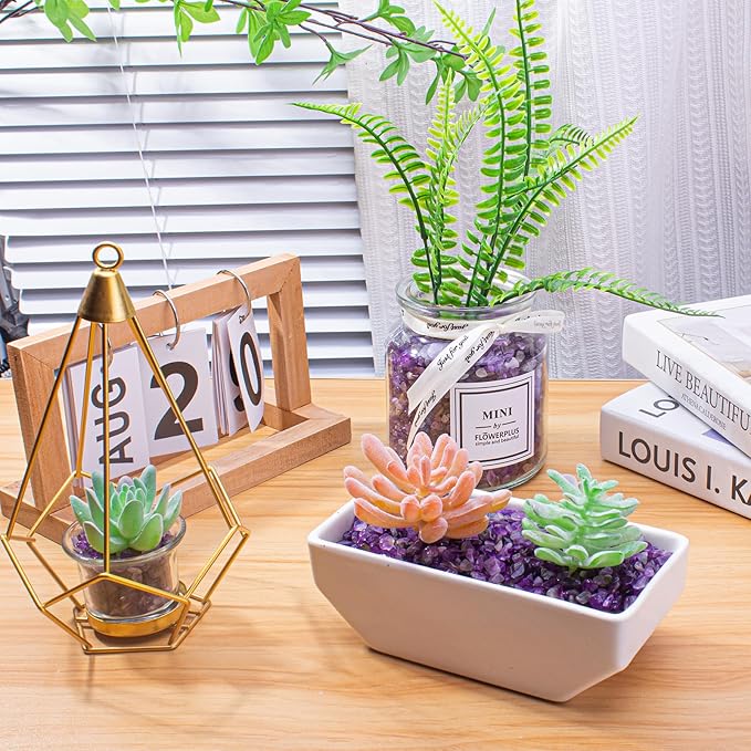 3 LB Amethyst Crystal Rocks Tumbled Crushed Stones Amethyst Crystal Quartz Chips Bulk Natural Gemstones Healing Reiki Mini Quartz Vase Filler Fish Tank Gravel Rocks-PawvioPets