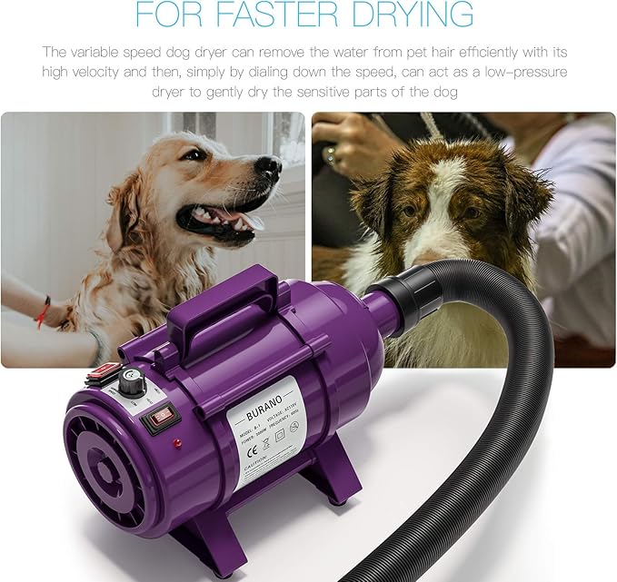 Burano Dog Dryer, High Velocity Pet Hair Dryer, 4.3HP Stepless Adjustable Speed Dog Hair Force Dryer for Dogs, Cats & More, Powerful Pet Blower with Heater-PawvioPets