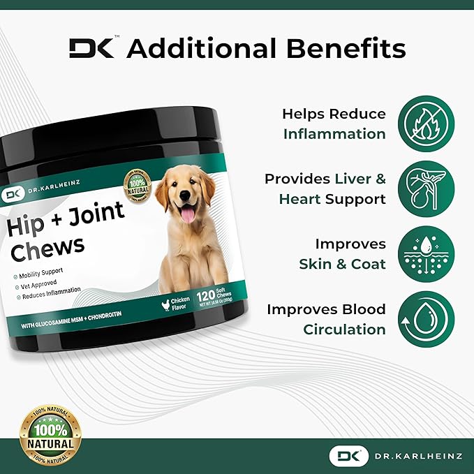 Glucosamine for Dogs - Max Strength Hip and Joint Supplement for Dogs - MSM, Chondroitin, Hemp Oil, Turmeric - Mobility Support and Pain Relief - 120 Chewable Tablets (Chicken Flavor)-PawvioPets