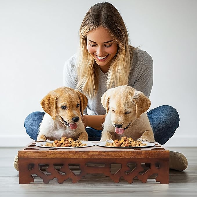 Elevated Pet Feeder for Dogs and Cats - Hand Carved Wood Bones Raised Dog Bowl Stand - Pet Feeding Stand with Two Steel Bowls - Raised Dog Bowl for Food Water - Pet Feeding Station -17x11x4- IRONGATE-PawvioPets