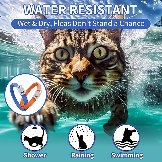 4 Pack Flea and Tick Collar for Cats, 32 Months Flea and Tick Treatment, Flea and Tick Prevention, Waterproof, Adjustable Flea and Tick Collar for Kittens, Blue & Orange-PawvioPets