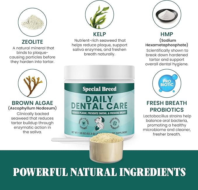 Dog Teeth Cleaning Powder – Natural Dog Dental Powder for Tartar Control, Fresh Breath & Gum Health – Daily Plaque Remover with Zeolite, Brown Algae, Probiotics & Rosemary – 90 Scoops-PawvioPets