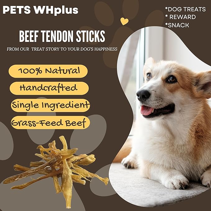 Beef Tendon Dog Treats, Single Ingredient, 100% Natural, Grass-Fed, Long-Lasting Rawhide-Free Chews, Collagen Protein, Dental & Joint Support, 4 oz, Safe & Grain-Free Snack-PawvioPets