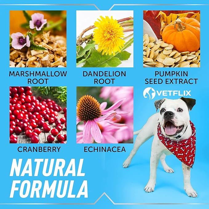 Cranberry Dog & Cat UTI Treatment - Best UTI for Pets - Made in USA - Dog & Cat Kidney Support - Cat Bladder Drops - Pet Immune Health Supplement - Marshmallow, Dandelion Root, Pumpkin Seed - 2 Fl Oz-PawvioPets
