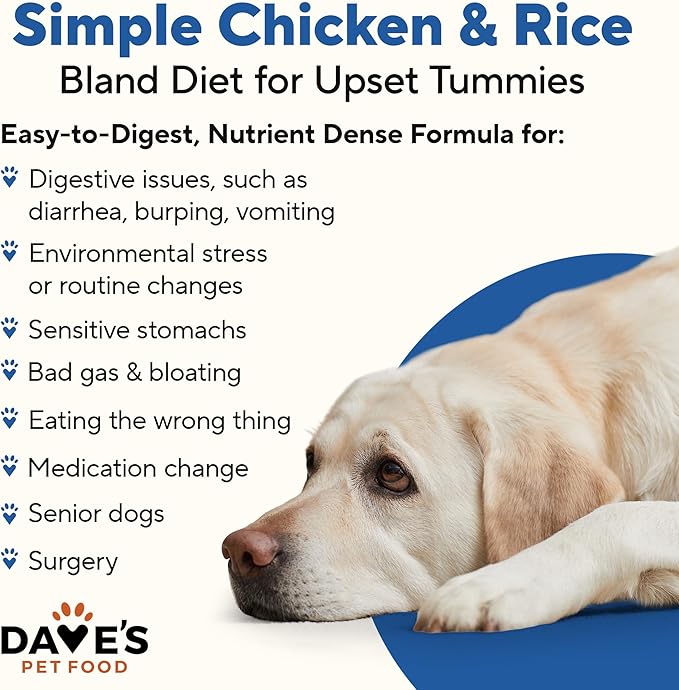 Dave's Pet Food Bland Diet Dog Food (Chicken & Rice), Sensitive Stomach, Easy to Digest, Gluten-Free, Digestive Care, Wet Canned, 13.2 oz (Case of 12)-PawvioPets