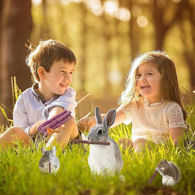 70PCS Rabbit Chew Sticks, Bunny Guinea Pig Toys for Teeth Natural Timothy Hay Sticks for Rabbit Chinchilla Guinea Pig Bunny Hamster - Chews Toys for Small Rodents' Teeth-PawvioPets