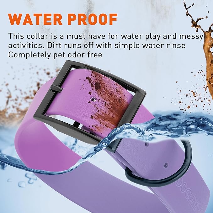 Dogline Biothane Waterproof Dog Collar Strong Coated Nylon Webbing with Black Hardware Odor- Proof for Easy Care Easy to Clean High Performance Fits Small Medium or Large Dogs, Amethyst Purple-PawvioPets