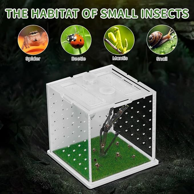 Acrylic Jumping Spider Enclosure, 2.95×2.95×2.87in Transparent Reptile Terrarium, Versatile Tarantula Enclosure for Small Reptiles/Insects, Small Reptile Tank with Dropper, Jumping Spider Accessories-PawvioPets