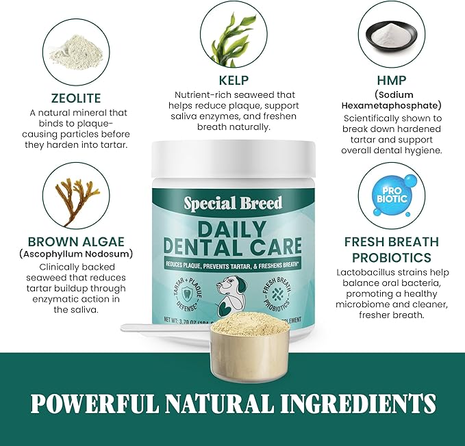 Dog Teeth Cleaning Powder – Natural Dog Dental Powder for Tartar Control, Fresh Breath & Gum Health – Daily Plaque Remover with Zeolite, Brown Algae, Probiotics & Rosemary – 180 Scoops-PawvioPets