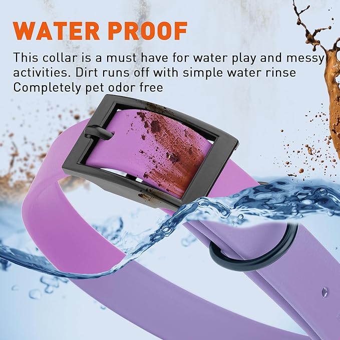 Dogline Biothane Waterproof Dog Collar Strong Coated Nylon Webbing with Black Hardware Odor- Proof for Easy Care Easy to Clean High Performance Fits Small Medium or Large Dogs, Amethyst Purple-PawvioPets