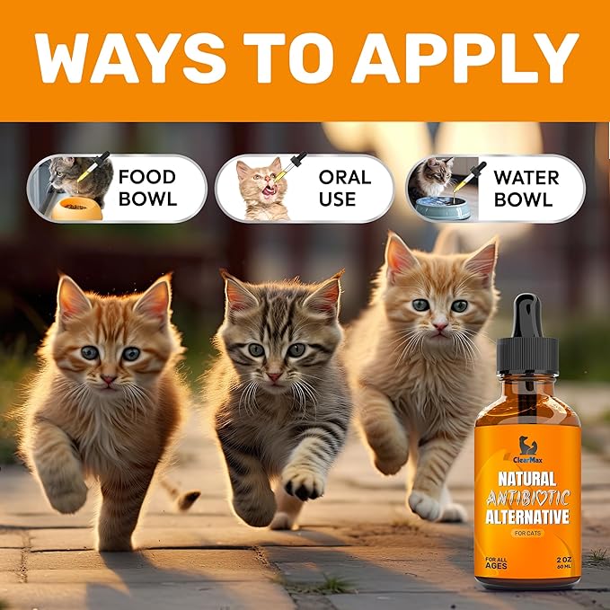 Cat Antibiotic to Help with Cough & Allergies – Antibiotics for Cats to Aid with UTIs and Digestive Moments – HIPS & Joints Support – Attractive Chicken Taste – 2 Oz Bottle-PawvioPets